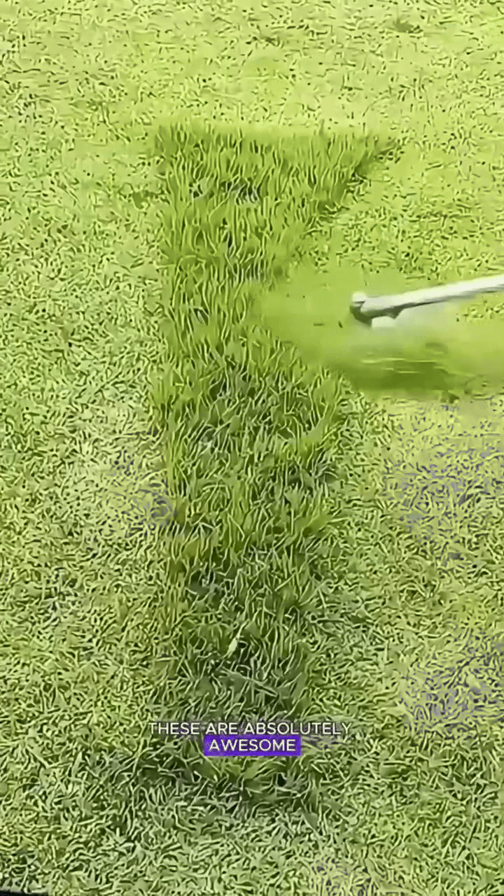Indestructible Steel Wire Grass Trimmer Head