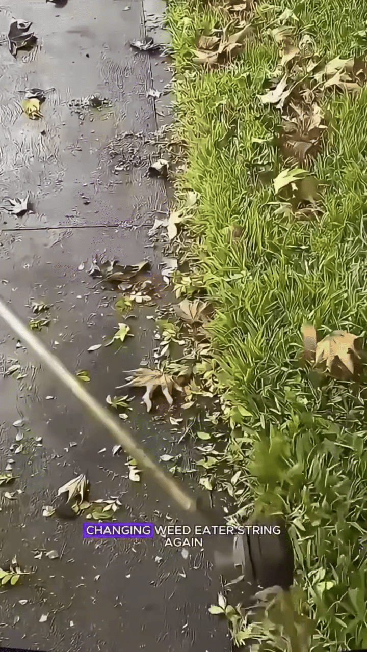 Indestructible Steel Wire Grass Trimmer Head