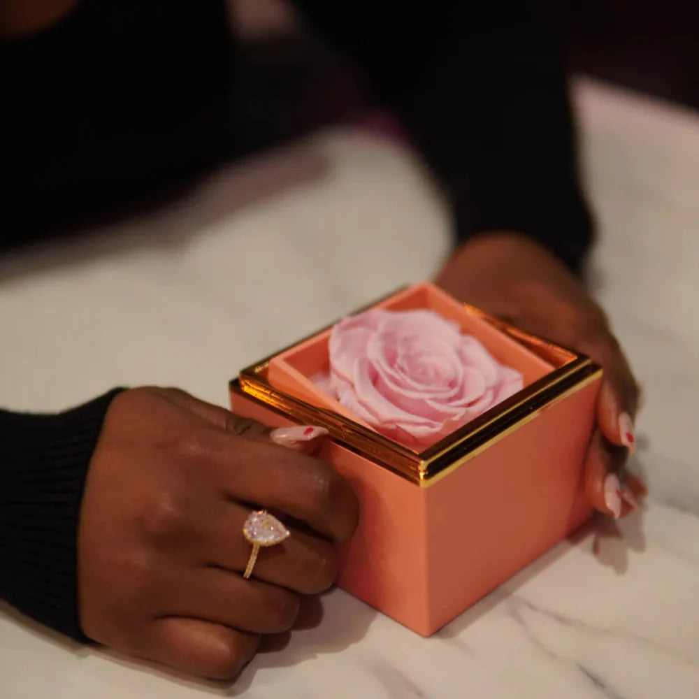 Eternal Rose & Necklace Gift Box