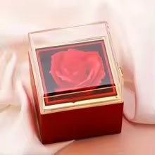 Eternal Rose & Necklace Gift Box