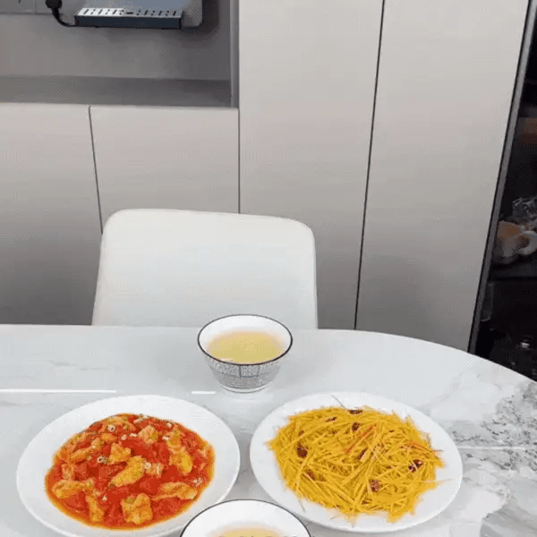 Foldable Insulated Food Guard