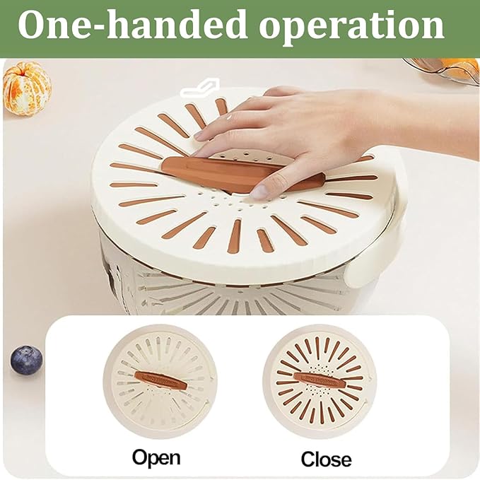 2-in-1 Fruit Washer & Storage Basket with Lid