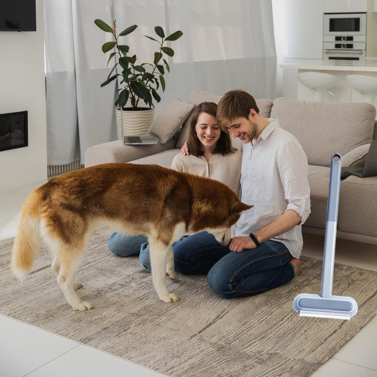 3-in-1 Pet Hair Remover Brush