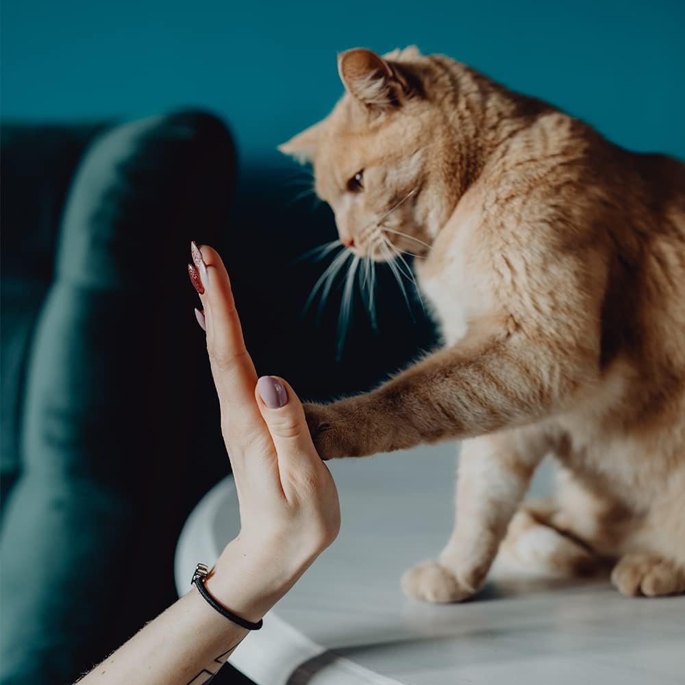3-in-1 Pet Hair Remover Brush