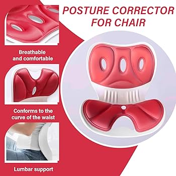 2-in-1 Adaptive Posture Enhancer