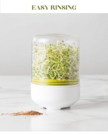 Healthy Living Kitchen Duo – Sprout Maker & Sandwich Toaster