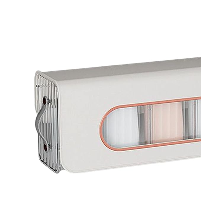 Wall Mounted Transparent Storage Box