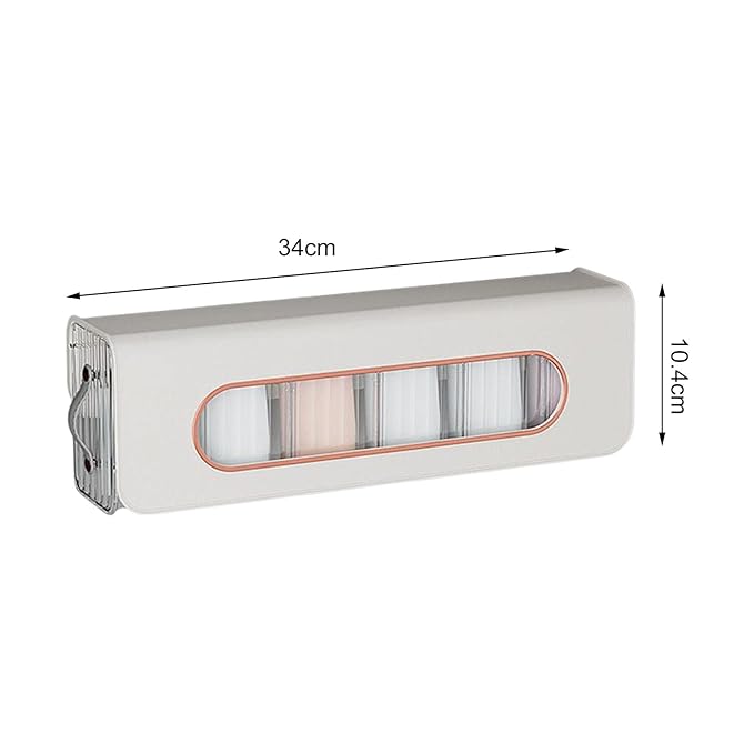 Wall Mounted Transparent Storage Box