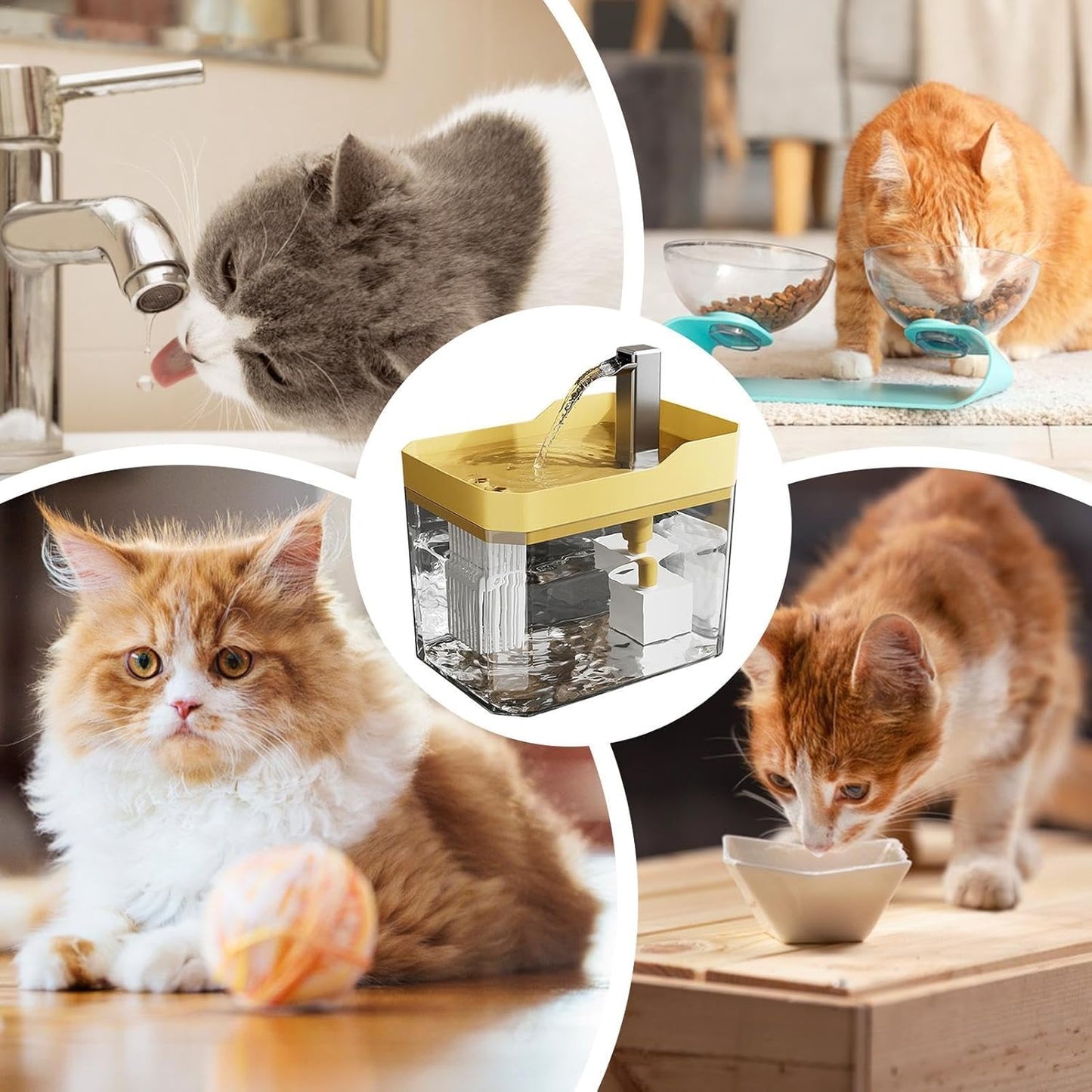 USB-Powered Automatic Water Dispenser Pet Fountain