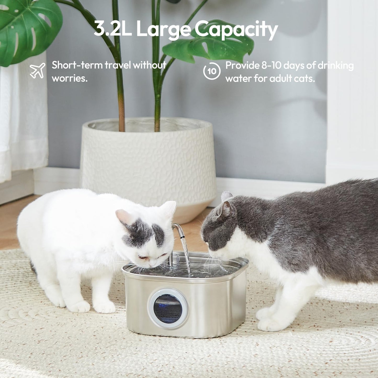 Stainless Steel Pet Fountain