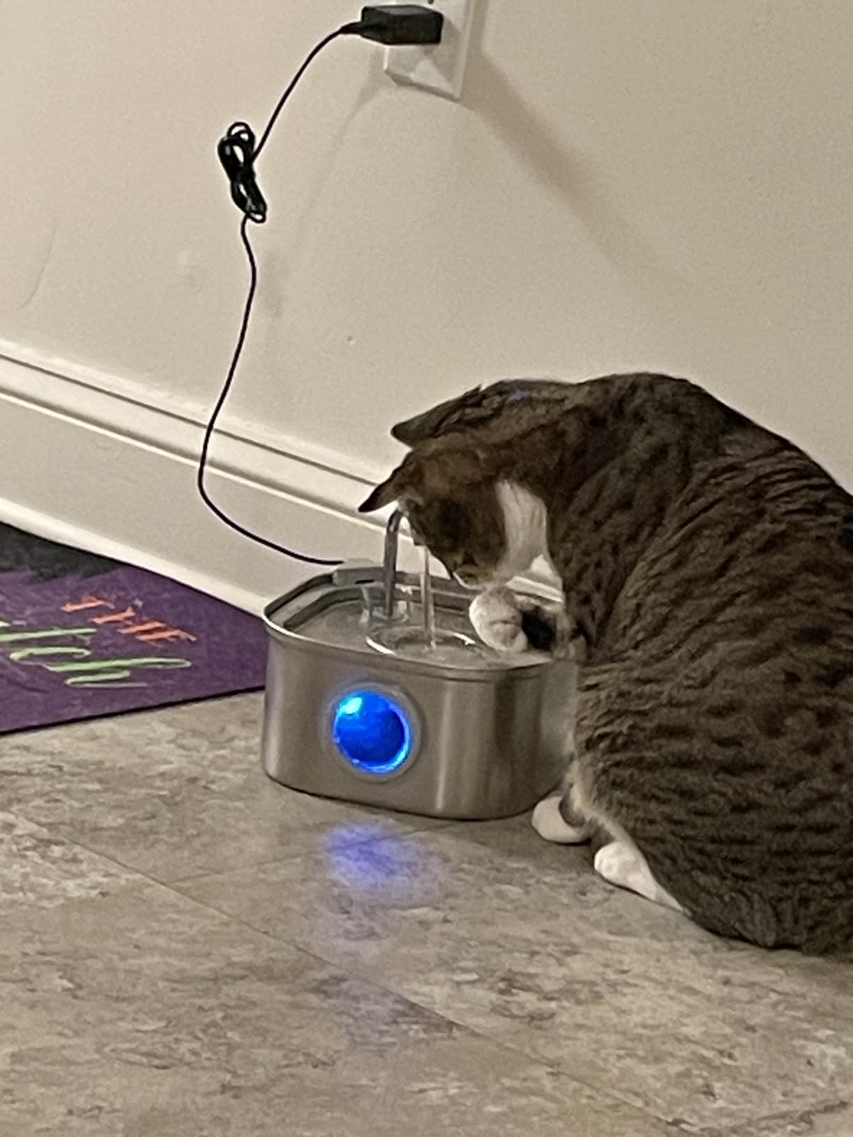 Stainless Steel Pet Fountain