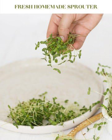 Healthy Living Kitchen Duo – Sprout Maker &  Sandwich Toaster